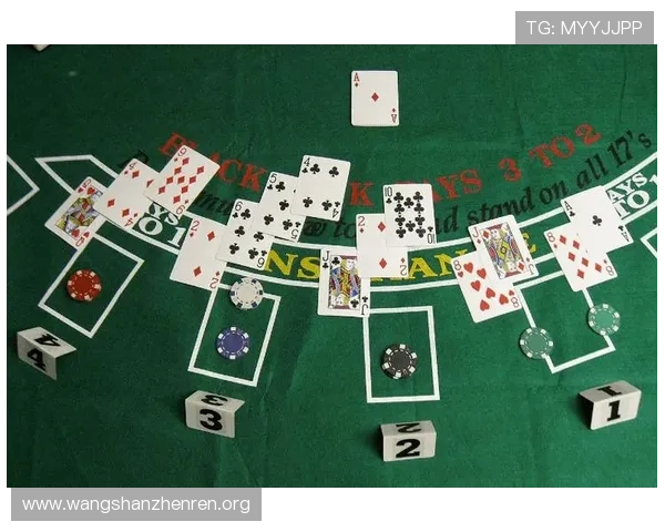 百家乐对冲公式的常见误区与正确使用方法详尽分析助你在游戏中取得持续优势