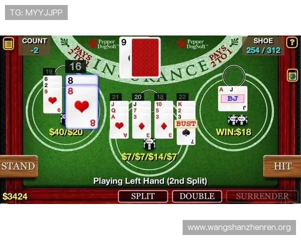 百家乐游戏官网正规平台推荐，确保每一场游戏公平公正，享受真实的娱乐体验