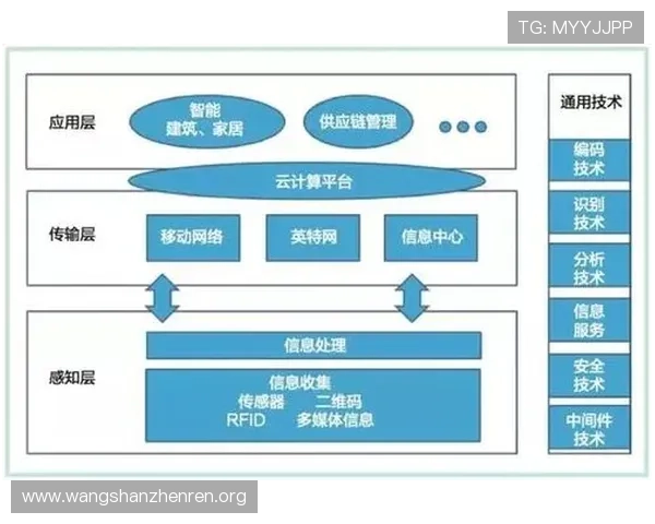 瓦力视讯在网络游戏行业中的应用前景与未来发展趋势分析